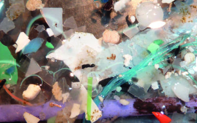 Pollution plastique : les grands fonds ne sont pas épargnés