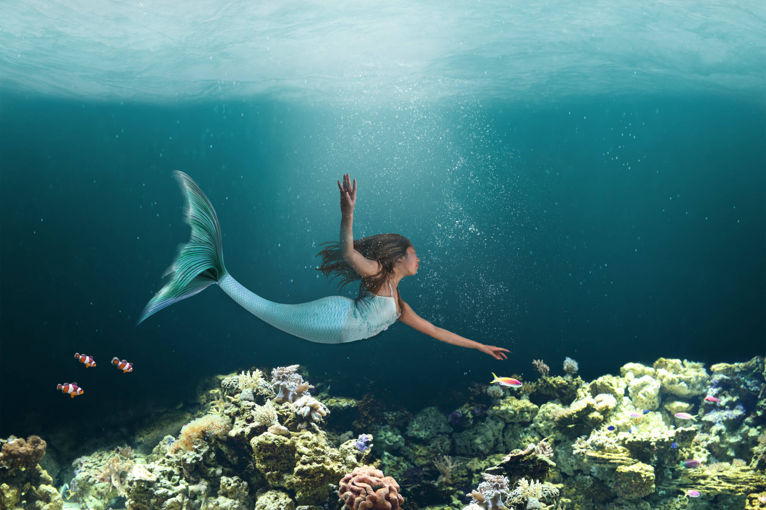 Sir&egrave;ne nageant au-dessus d'un r&eacute;cif de corail