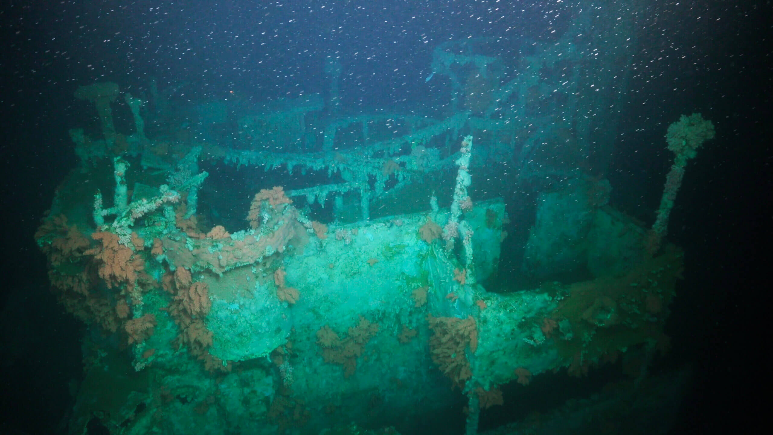 Epave du ROU Urugay colonis&eacute; par les coraux