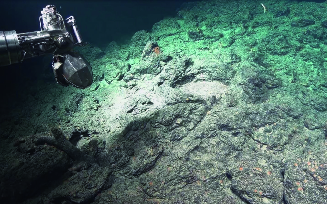 Découverte de trois immenses sites hydrothermaux