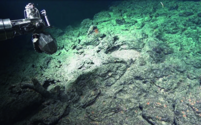 Découverte de trois immenses sites hydrothermaux