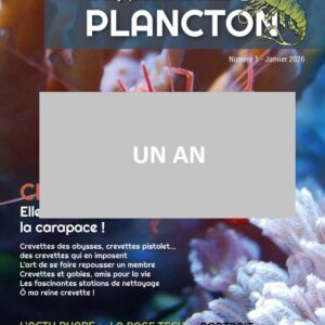Abonnement 1 an