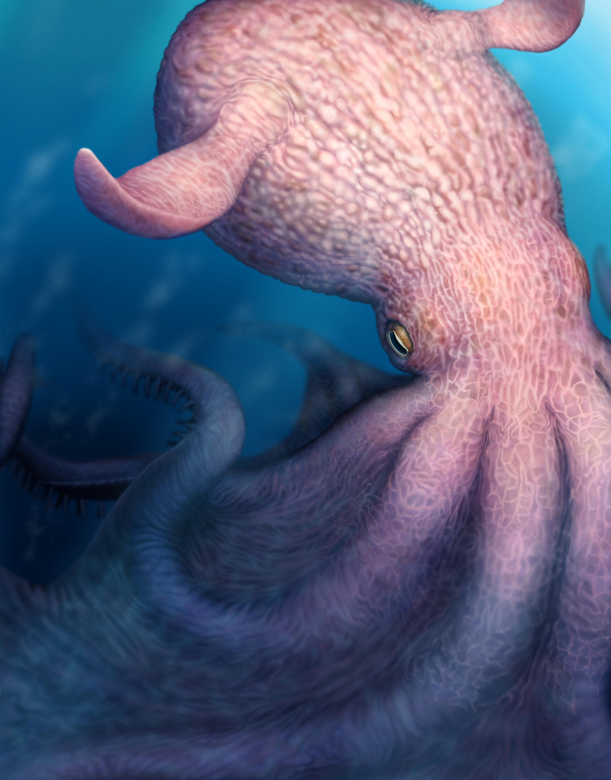 Vue d'artiste de Nanaimoteuthis haggarti