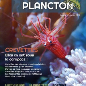 Magazine à l'unité